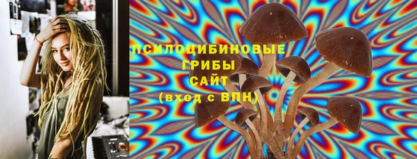 спиды Коряжма
