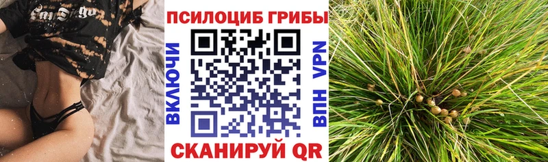 Псилоцибиновые грибы Magic Shrooms  Клин 