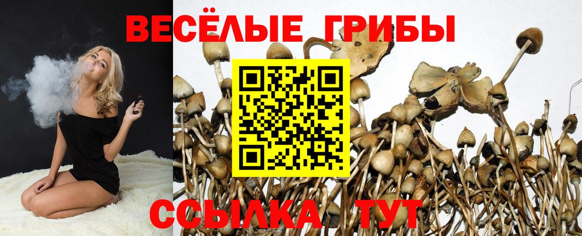 Галлюциногенные грибы MAGIC MUSHROOMS Клин