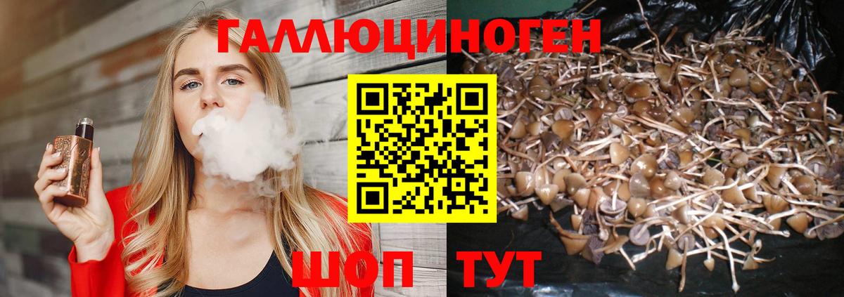 купить наркотики сайты  Галлюциногенные грибы Psilocybe  Вход с VPN  Клин  Галлюциногенные грибы Magic Shrooms 