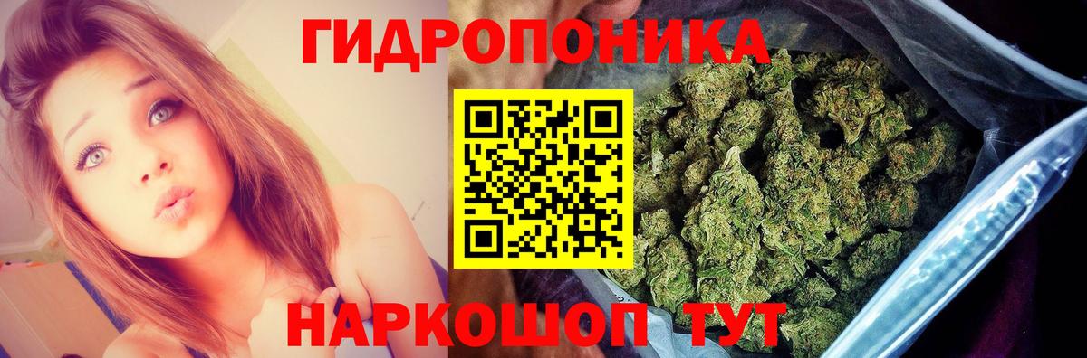 Бошки марихуана Bruce Banner Клин